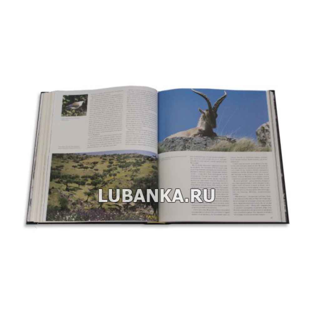 Книга «Охота»